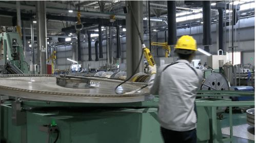 致力于綠色發展 致佳咨詢ISO14001環境管理體系咨詢服務案例分享